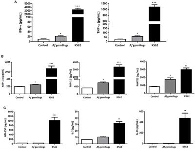 Human NK Cells Develop an Exhaustion Phenotype During Polar Degranulation at the Aspergillus fumigatus Hyphal Synapse